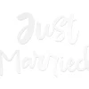 Depot Geschenkanhänger & Sticker>Autosticker Just Married