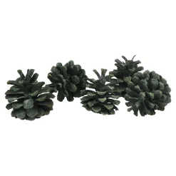 Clearance Depot Deko-Kiefernzapfen