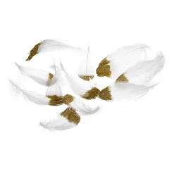 Sale Depot Deko-Naturfedern Glitter