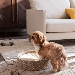 Sale Depot Haustier-Korbchen Fido