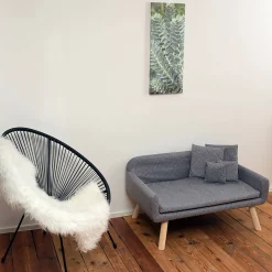 Flash Sale Depot Haustiersofa Cora