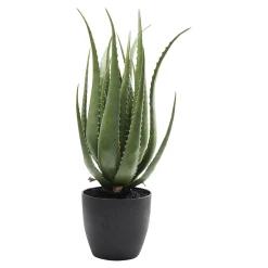 Clearance Depot Kare Kunstpflanze Aloe Im Topf