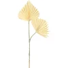 Depot Einzelblumen & Zweige>Kunstblatt Palm Leaf