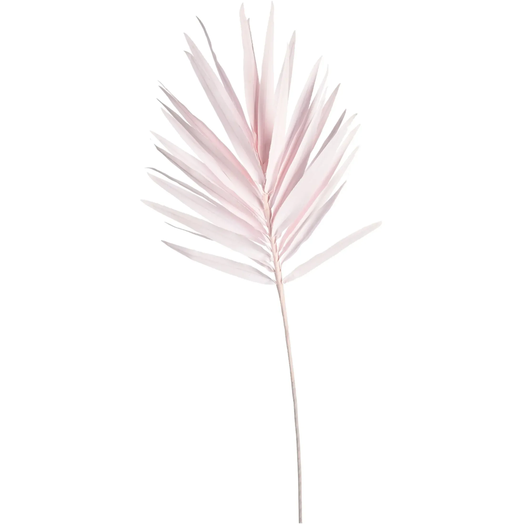 Depot Einzelblumen & Zweige>Kunstblatt Palme