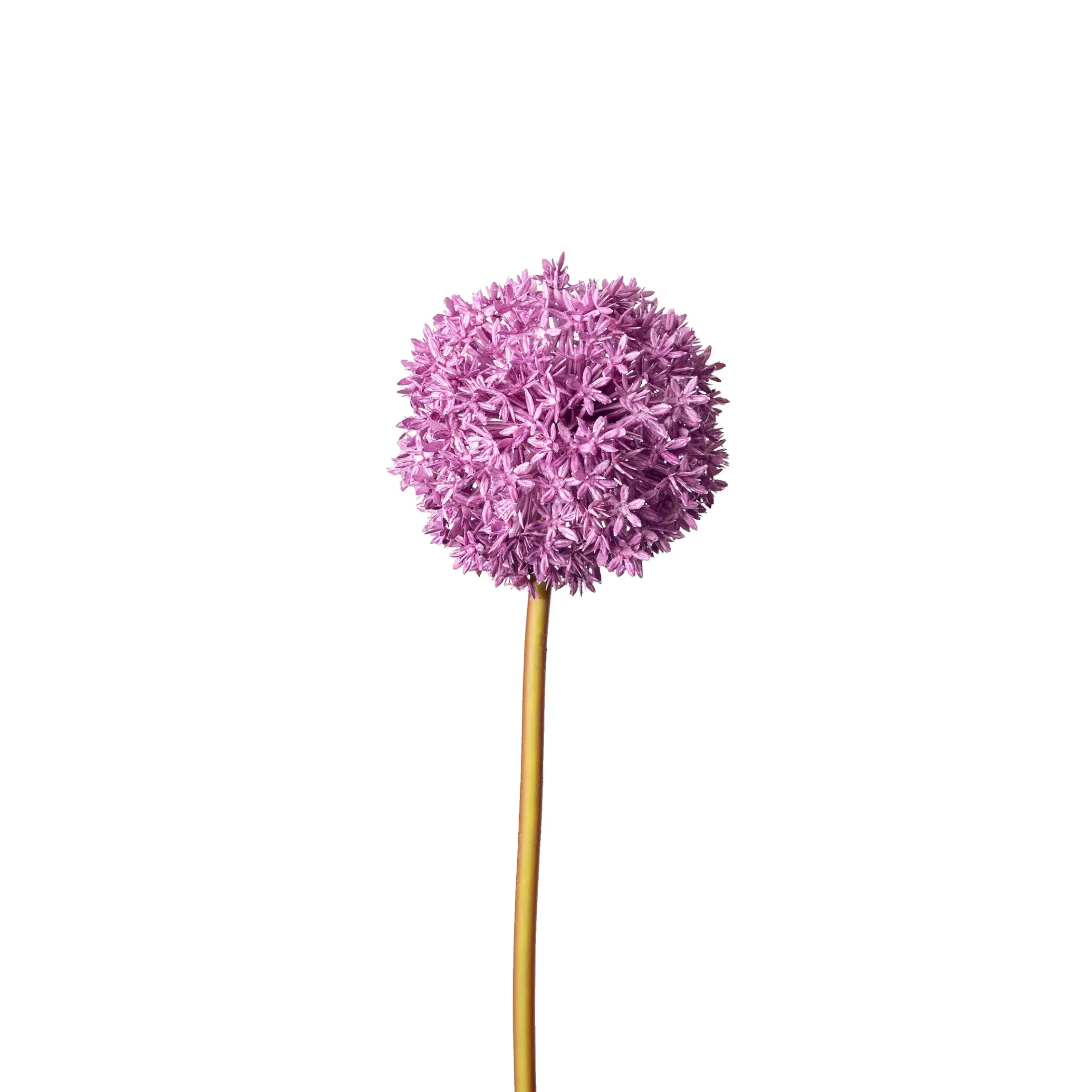 Depot Einzelblumen & Zweige>Kunstblume Allium