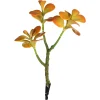 Depot Einzelblumen & Zweige>Kunstblume Geldbaum
