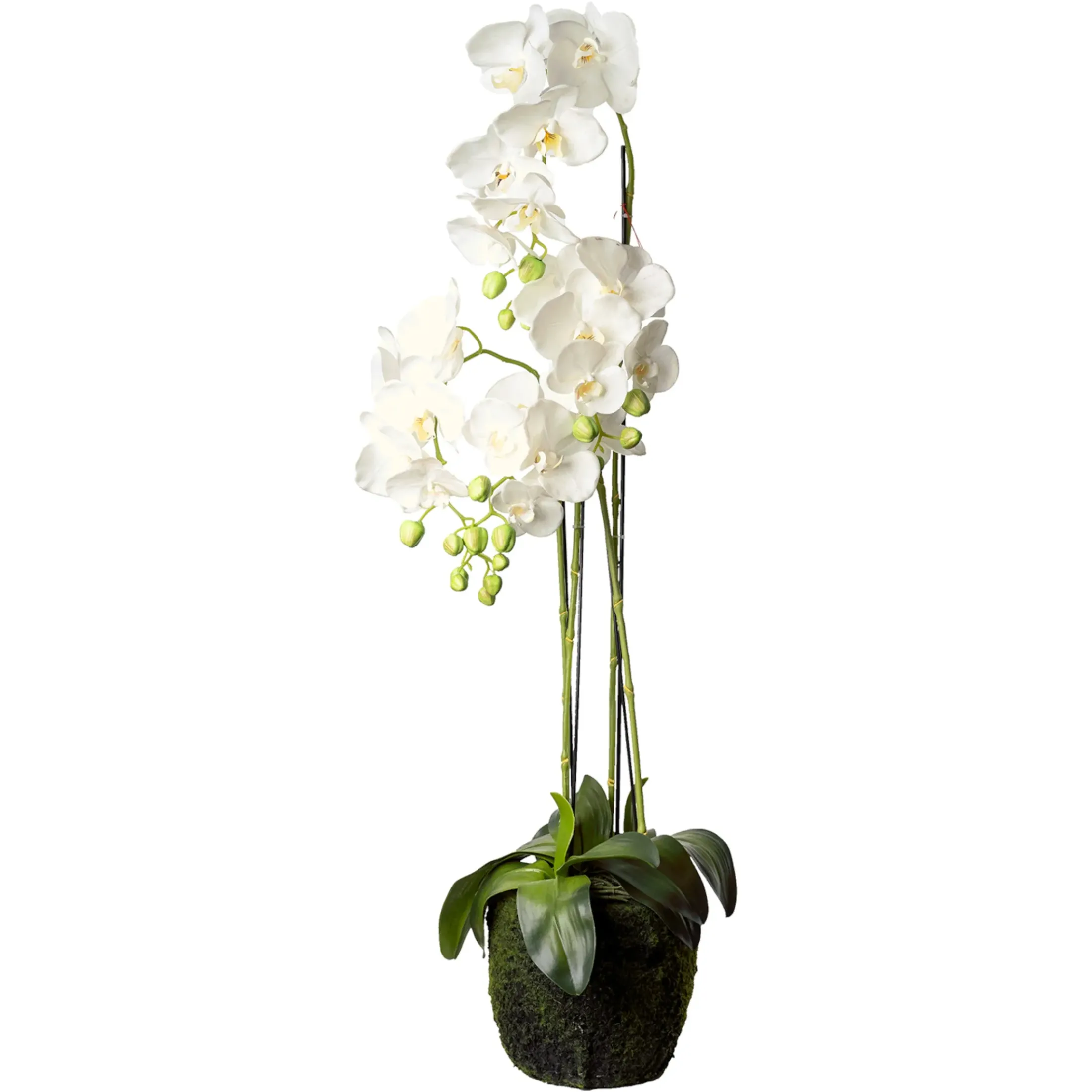 Depot Kunstpflanzen>Kunstblume Orchidee Phalaenopsis In Erde