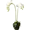 Depot Kunstpflanzen>Kunstblume Orchidee Phalaenopsis In Erde
