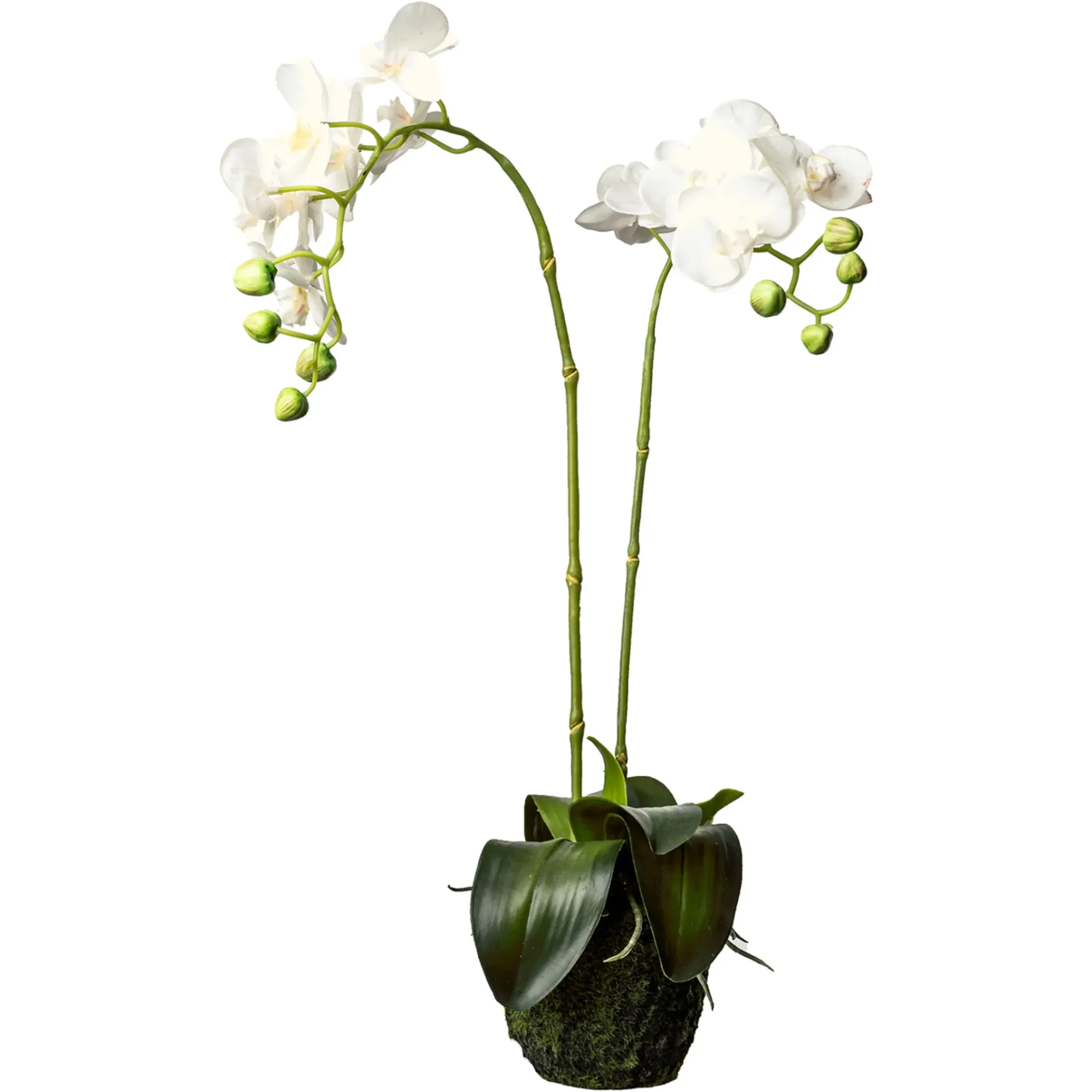 Depot Kunstpflanzen>Kunstblume Orchidee Phalaenopsis In Erde