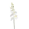 Depot Einzelblumen & Zweige>Kunstblume Orchidee Phalaenopsis