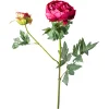 Depot Einzelblumen & Zweige>Kunstblume Paonie