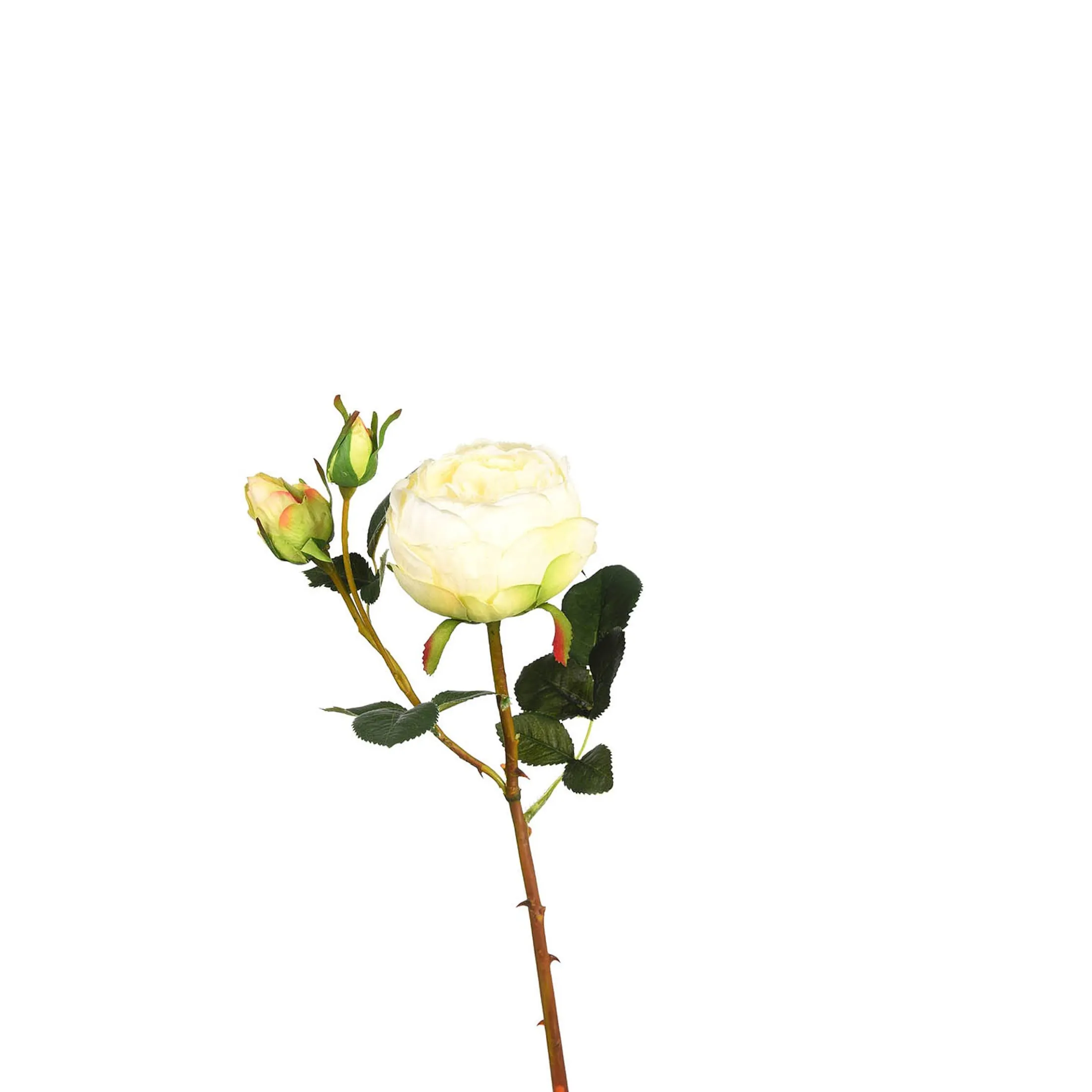 Shop Depot Kunstblume Rose