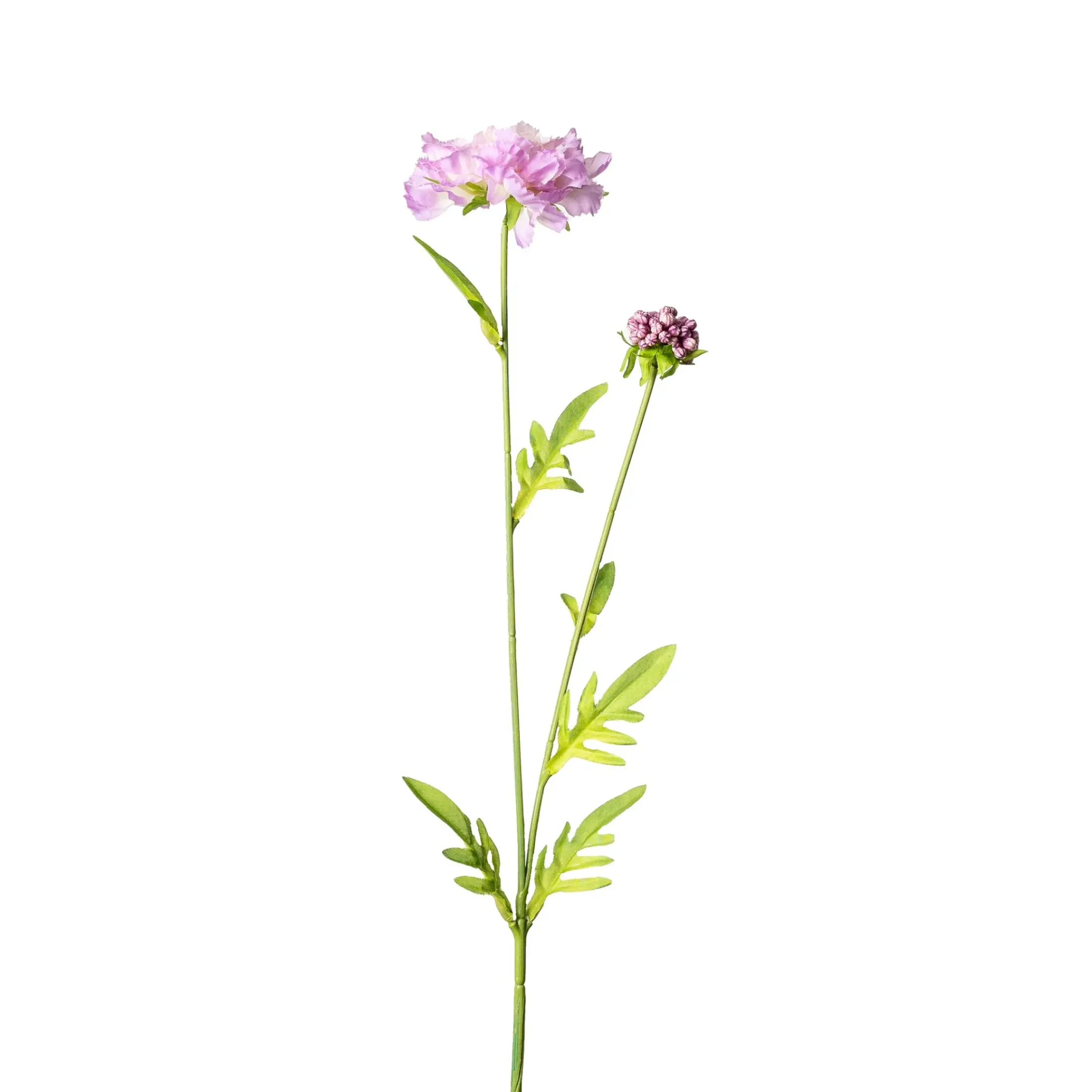 Depot Einzelblumen & Zweige>Kunstblume Scabiosa
