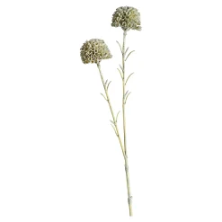 Sale Depot Kunstblume Scabosia