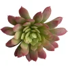 Depot Einzelblumen & Zweige>Kunst-Blumenpick Sukkulente