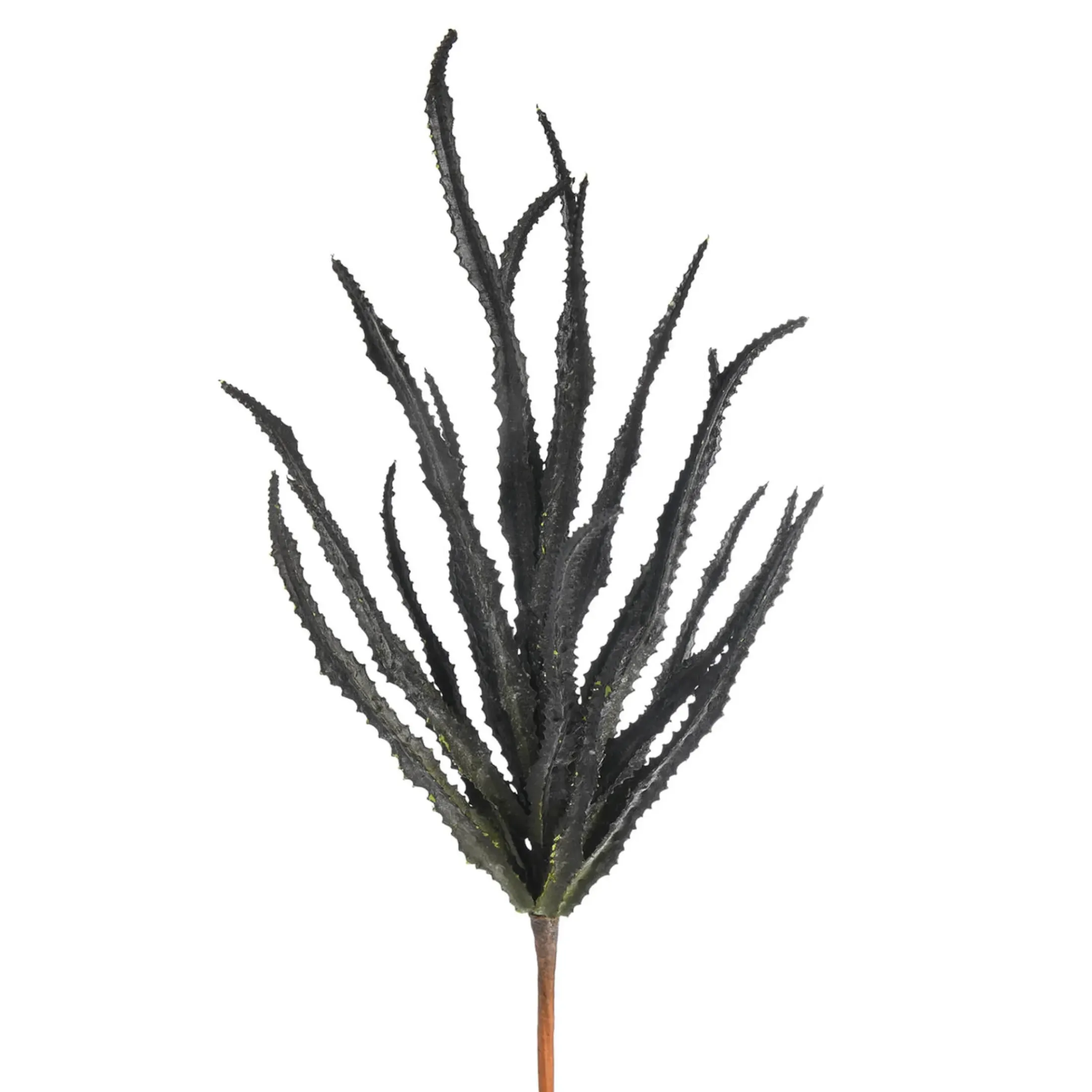 Depot Einzelblumen & Zweige>Kunst-Blumenpick Sukkulente