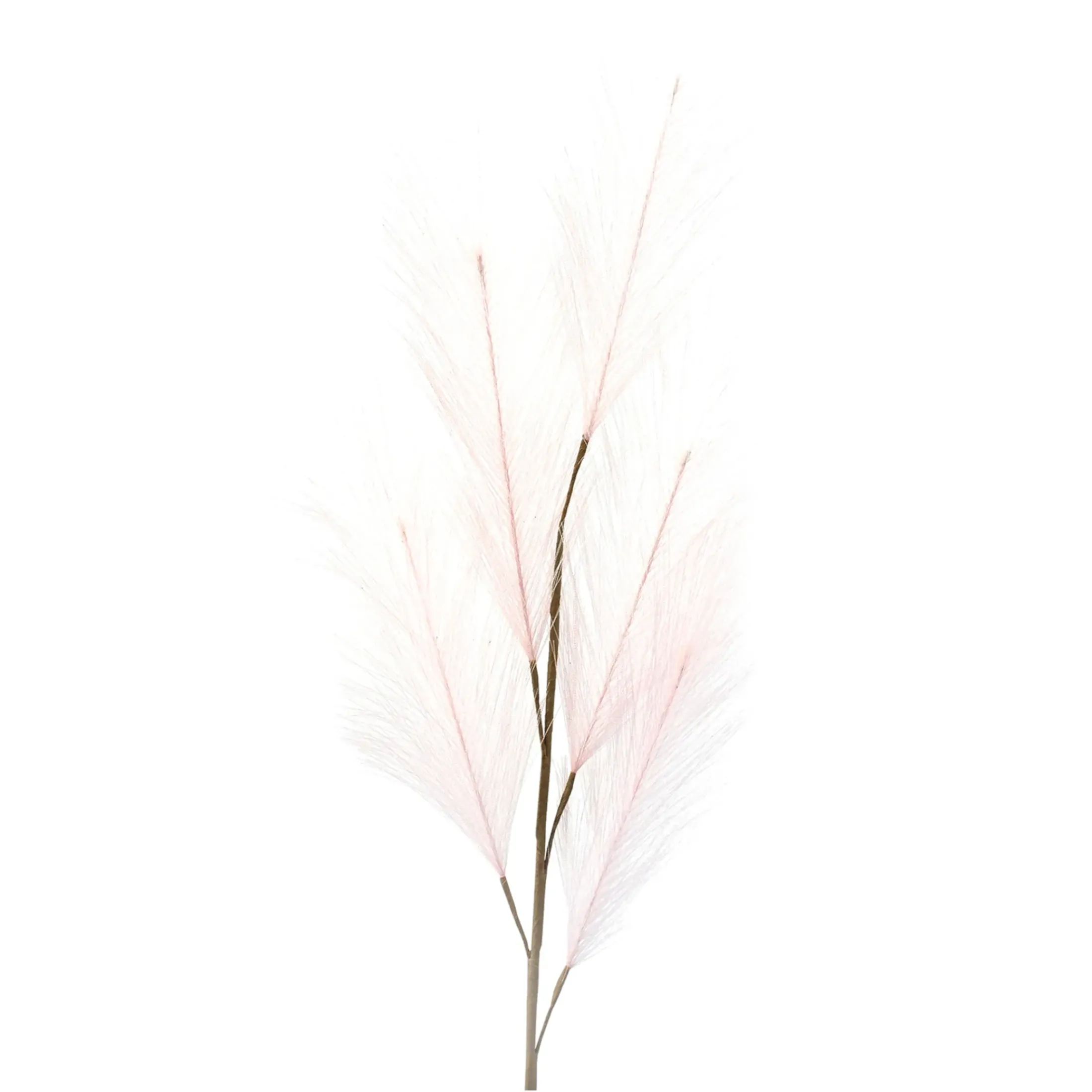 Depot Einzelblumen & Zweige>Kunst-Pampasgras