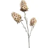 Depot Einzelblumen & Zweige>Kunst-Stielblume Rispe