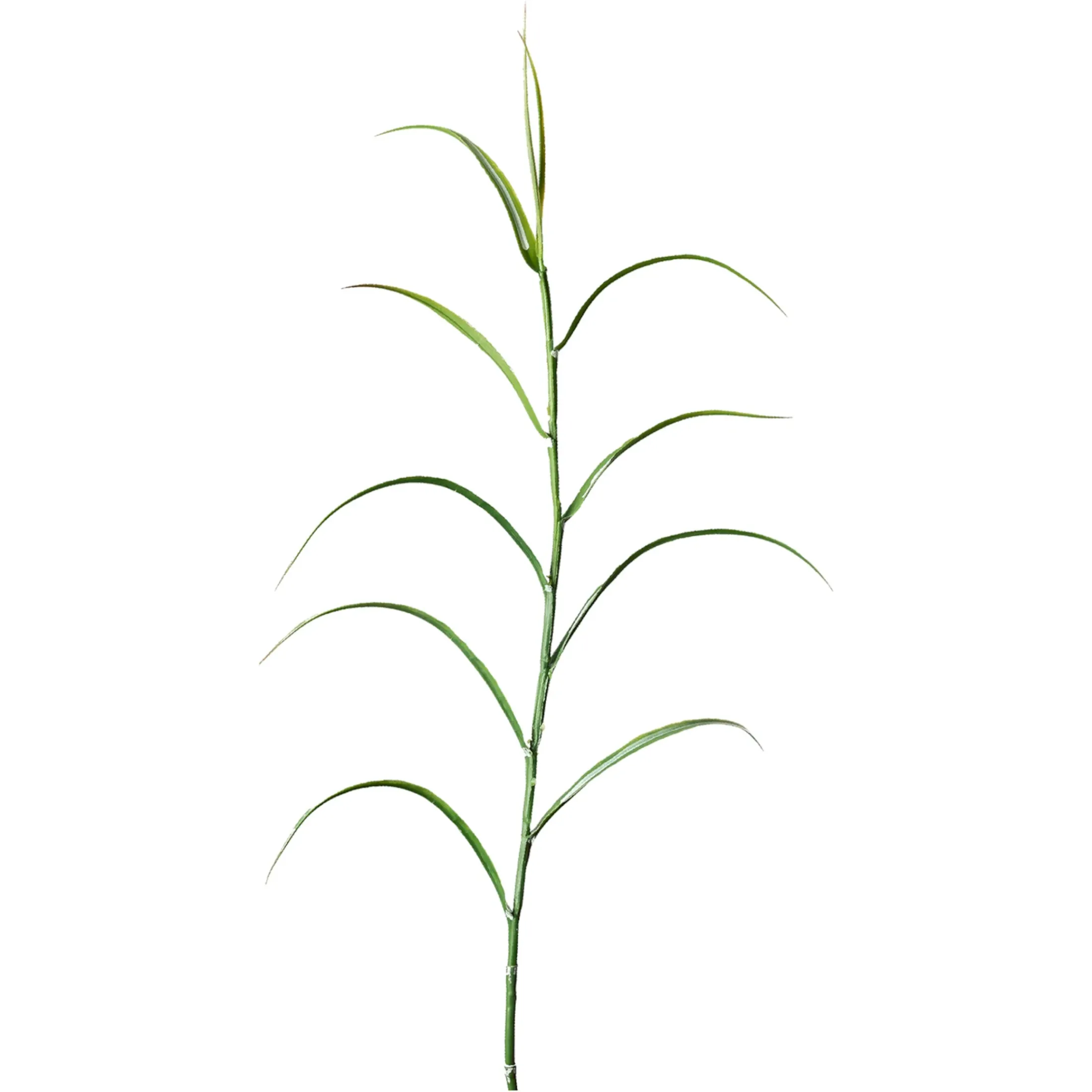Depot Einzelblumen & Zweige>Kunstzweig Bambus