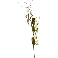 Depot Einzelblumen & Zweige>Kunstzweig Curly Mit Moos