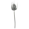 New Depot Kunst-Zweig Distel
