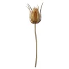 Cheap Depot Kunst-Zweig Distel