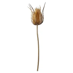 Cheap Depot Kunst-Zweig Distel