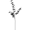 Depot Einzelblumen & Zweige>Kunstzweig Eukalyptus