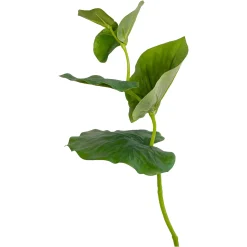 Depot Einzelblumen & Zweige>Kunstzweig Eukalyptus