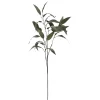 Depot Einzelblumen & Zweige>Kunstzweig Eukalyptus