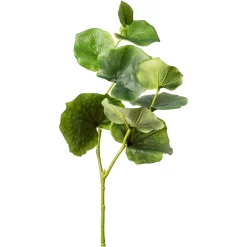 Depot Einzelblumen & Zweige>Kunstzweig Eukalyptus