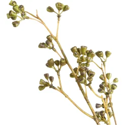 Depot Einzelblumen & Zweige>Kunstzweig Eukalyptus-Knospe
