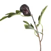 Depot Einzelblumen & Zweige>Kunstzweig Feige