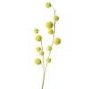 Depot Einzelblumen & Zweige>Kunstzweig Frucht