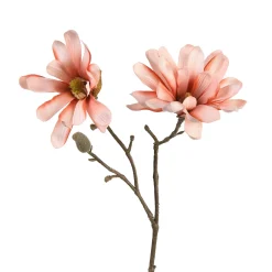 Depot Einzelblumen & Zweige>Kunstzweig Magnolia