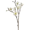 Depot Einzelblumen & Zweige>Kunstzweig Magnolia
