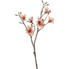Depot Einzelblumen & Zweige>Kunstzweig Magnolia