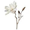 New Depot Kunst-Zweig Magnolie