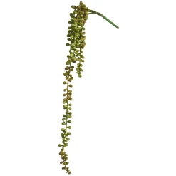 Depot Einzelblumen & Zweige>Kunstzweig Sukkulente, Hangend