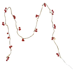 Shop Depot Led-Lichterkette Berries