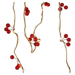 Shop Depot Led-Lichterkette Berries