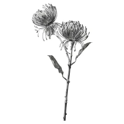 Fashion Depot Metallic-Kunstblume Protea