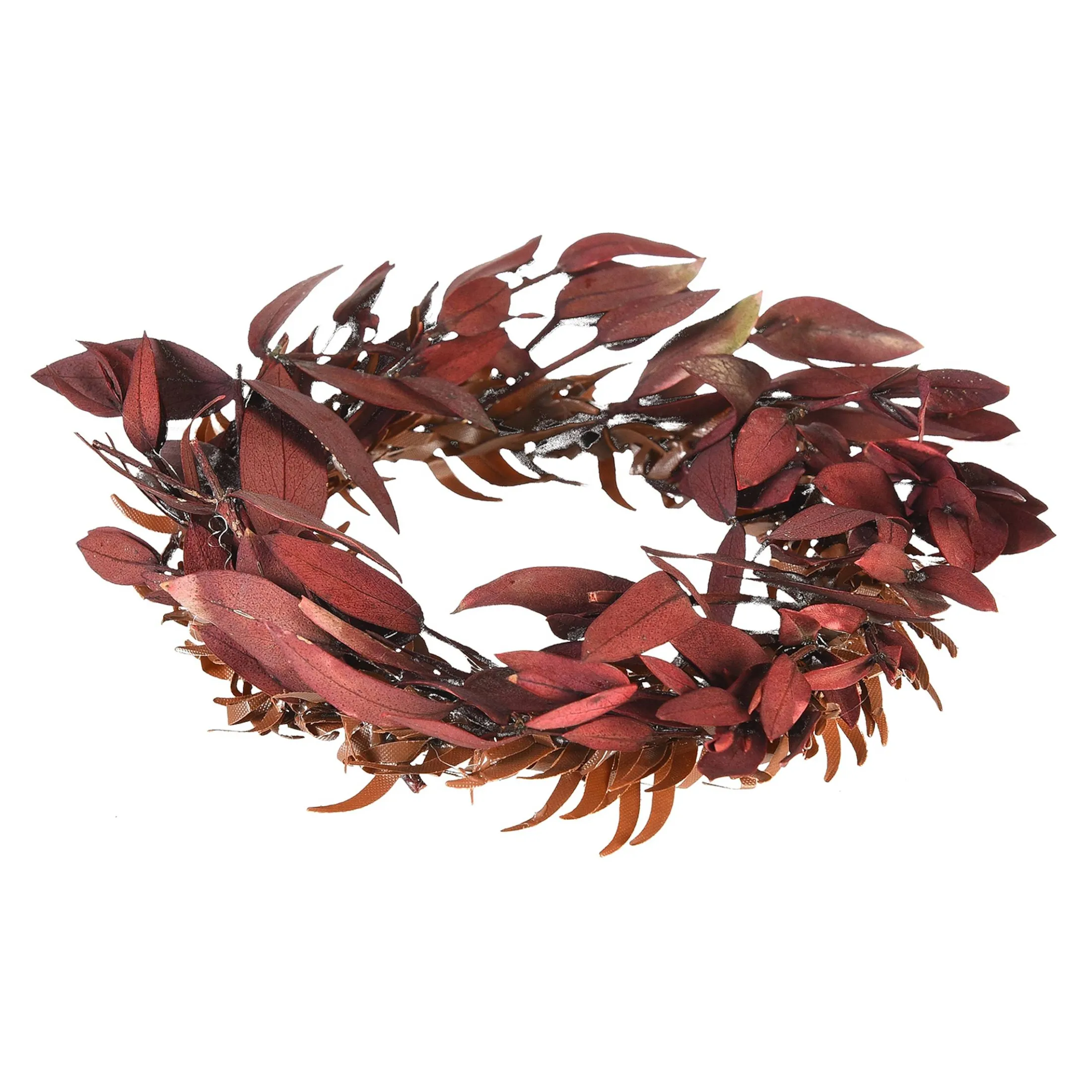 Best Sale Depot Mini-Trockenblumenkranz Ruscus