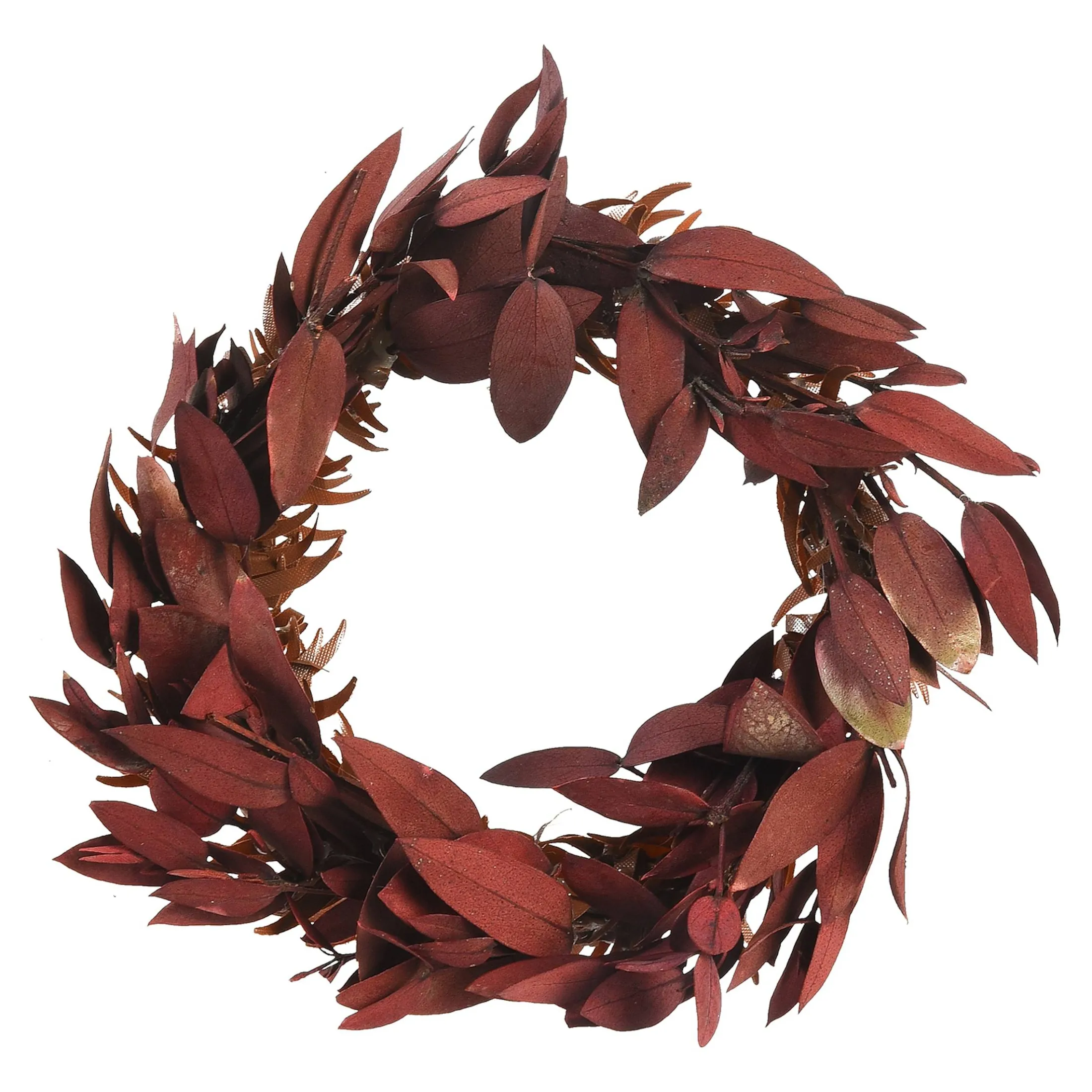 Best Sale Depot Mini-Trockenblumenkranz Ruscus