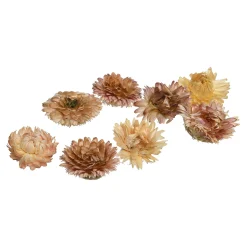 Fashion Depot Natur-Streuartikel Strohblumen
