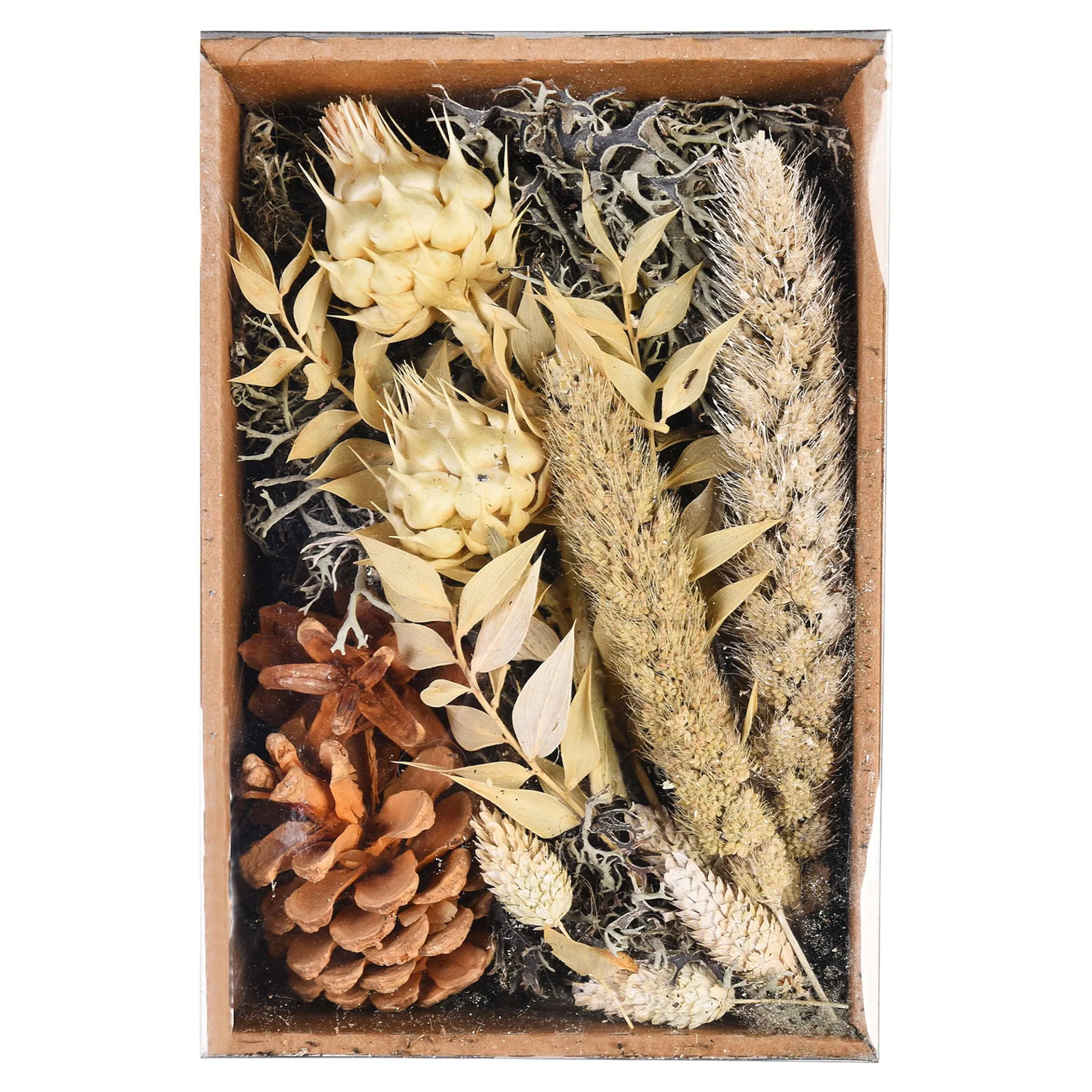 Sale Depot Potpourri Natural