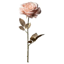 Cheap Depot Rose Ca. 66Cm