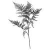 Discount Depot Stielblume Farn Glam Ca. 58Cm