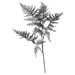 Discount Depot Stielblume Farn Glam Ca. 58Cm