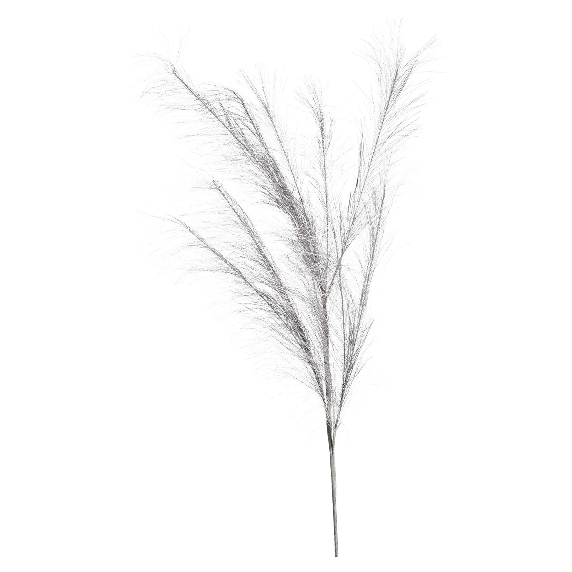 Fashion Depot Stielblume Pampas Glam Ca. 110